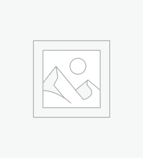 عنصر نائب Placeholder